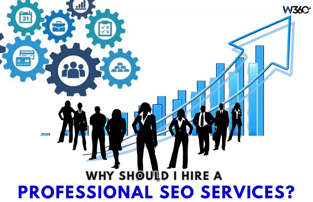PROFESSIONAL SEO SERVICES (1)